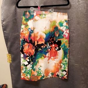 Colorful Pencil Skirt